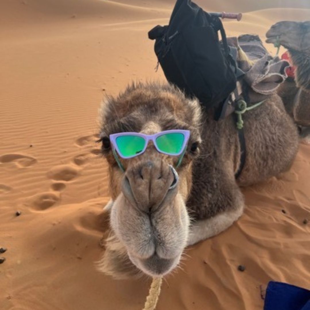 The Moontower Blue/Green Clawdia