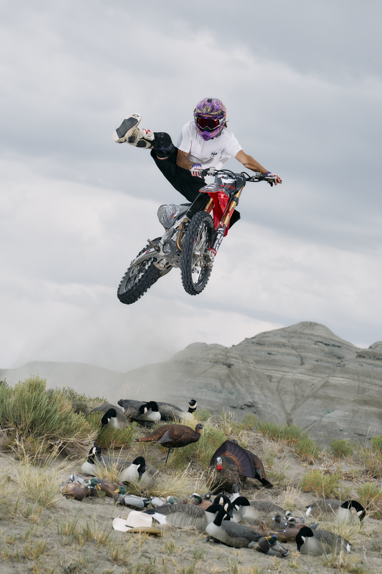 Person on a motorcycle performing a jump over a group of geese in a desert landscape.