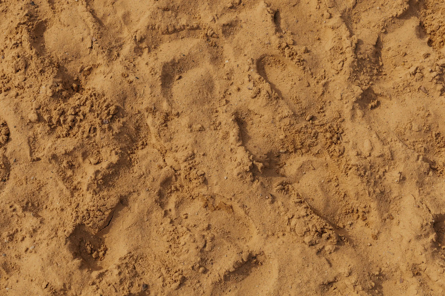 Close-up of sand with footprints
